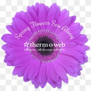 Spring Flower Logo - Pink Gerbera Flower Png Transparent, Png Download