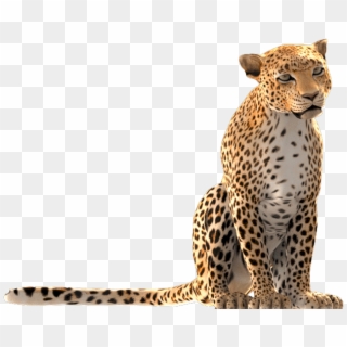 Cartier Party Dbx - African Leopard, HD Png Download