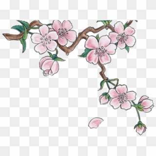 Clipart Wallpaper Blink - Cherry Blossom Japan Drawings, HD Png Download