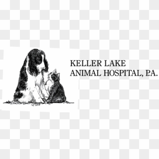 Keller Lake Animal Hospital Logo - Animal Haven, HD Png Download