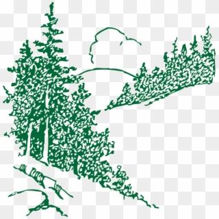 Mountains Clipart Trees - Pine Tree Sketch Png, Transparent Png