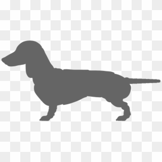 Dachshund, HD Png Download