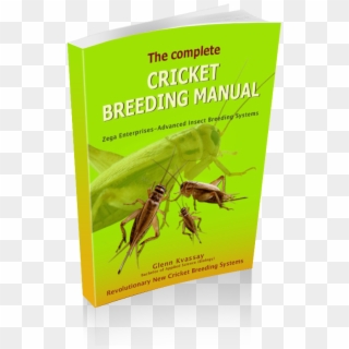 Cricket Breeding Manual - Hornet, HD Png Download