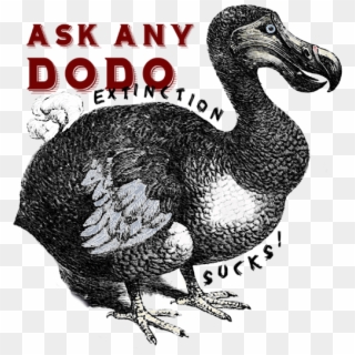 Click And Drag To Re-position The Image, If Desired - Dodo Bird Transparent, HD Png Download