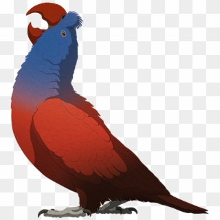 Parrot, HD Png Download
