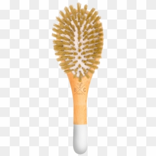 Bachca - Brosse Bachca, HD Png Download