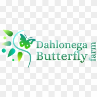 The Dahlonega Butterfly Farm, HD Png Download