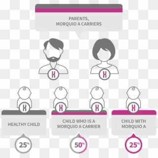 Recessive Inheritance Pattern Of Morquio A - Risk For Morquio Syndrome, HD Png Download