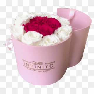 Infinito Sweety Box - Floribunda, HD Png Download