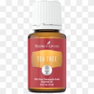 I Am Going To Share The Blemish Face Wash That I Made - Thieves Young Living, HD Png Download