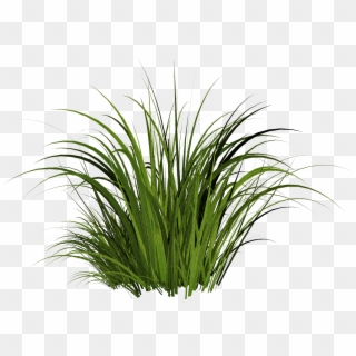 Solved The Material - Transparent Background Cartoon Grass Png, Png Download