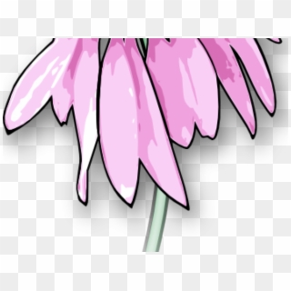How To Draw A Dead Flower - Dead Flower Drawing Cartoon, HD Png Download
