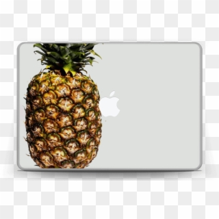 [ananas Comosus] - Single Pineapple, HD Png Download