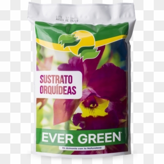 Ever Green Sustrato Para Orquídeas - Orchid, HD Png Download