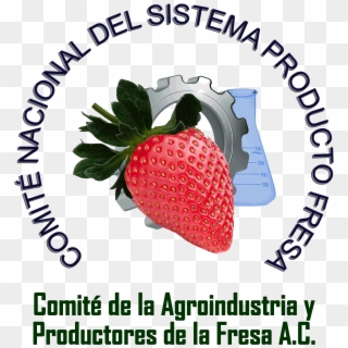 Consejo Nacional De La Fresa A, HD Png Download