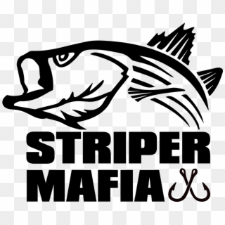Picture - Striper Logos, HD Png Download