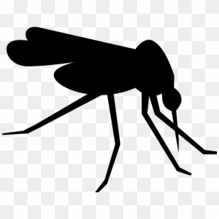 Mosquito Clip Art Images - Mosquito Icon, HD Png Download