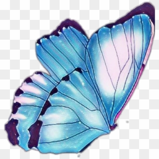 #butterfly #butterflywings #blue #wings #butterflies - Swallowtail Butterfly, HD Png Download