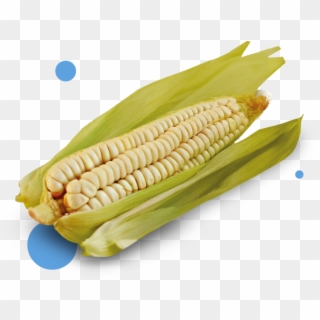 Corn - Corn Kernels, HD Png Download