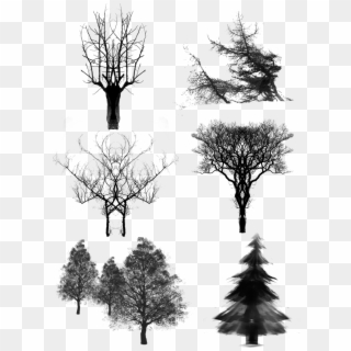 Trees Ink Dead Wood Png And Psd - Christmas Tree, Transparent Png
