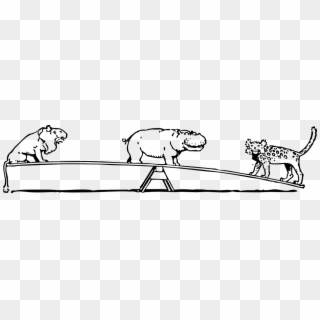 Animals Seesaw See Saw Balance Png Image - Balance Of Animals, Transparent Png