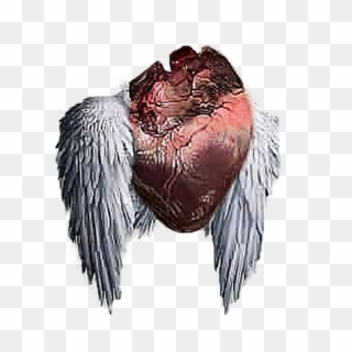 Flying Heart Png Heartless Editing Png - Heartless Editing Png, Transparent Png