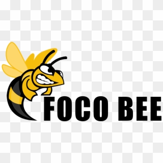The Foco Bee - Week 41 Pool Fixtures 2018, HD Png Download