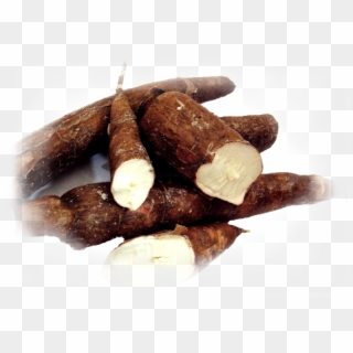 Tapioca Cassava , Png Download - Cassava The Same As Tapioca, Transparent Png