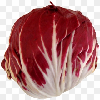 Radicchio Png Image - Radicchio In Png, Transparent Png