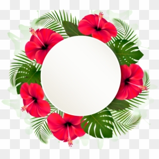 Цветочная Рамка, Рамка Для Фотошопа, Цветы, Flower - Hawaiian Hibiscus, HD Png Download