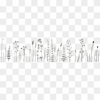 Corn Plant Png - Flower Doodle Designs Bullet Journal, Transparent Png