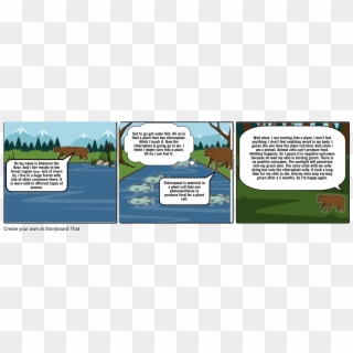 Shannon The Bear Chloroplast Story - Cartoon, HD Png Download
