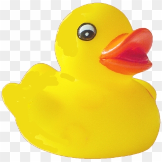 Duck Png Pic - Rubber Duck Png, Transparent Png