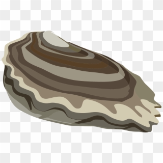 This Free Icons Png Design Of Food Oysters Ocean, Transparent Png