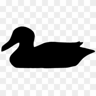 Free Png Download Duck Png Images Background Png Images - Силуэт Утки, Transparent Png