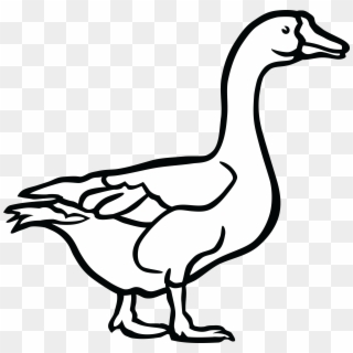 Png Free Download Cool Duck Png Clipartxtras For Ifm - Goose Black And White Clip Art, Transparent Png