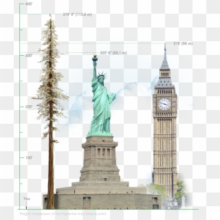Tag - Trees - Statue Of Liberty, HD Png Download