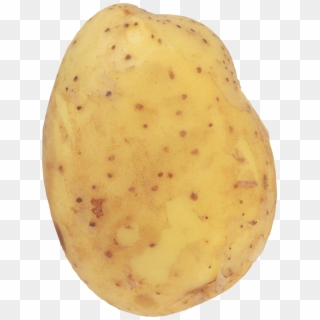Potato Png Images - Potato Png, Transparent Png