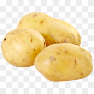 Potato Png Image - Botanical Name Of Potato, Transparent Png