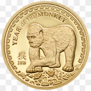 Year Of Monkey - Златна Монета Година На Маймуната, HD Png Download