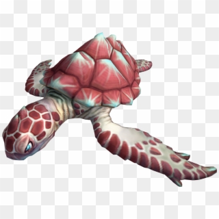Hawksbill Sea Turtle, HD Png Download