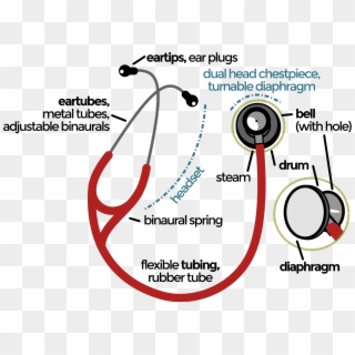 Open - Parts Of Stethoscope, HD Png Download