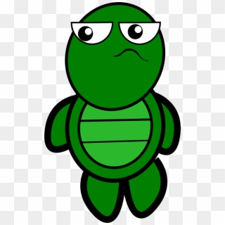 Turtle Png, Transparent Png