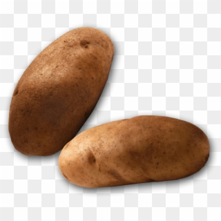 One Potato, Two Potatoes, Three Potatoes, Four Five - Russet Burbank Potato, HD Png Download