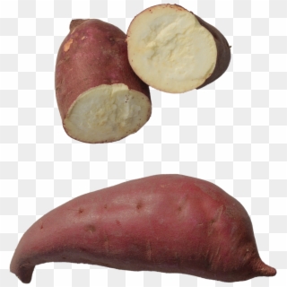 Japanese-muraski - Japanese Sweet Potato Png, Transparent Png