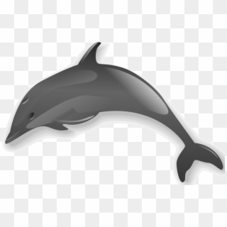 Dolphin 2 - Dolphin Clip Art Transparent, HD Png Download