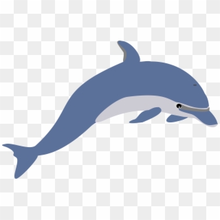This Free Icons Png Design Of Another Dolphin, Transparent Png