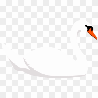 Download Swan Png Transparent Images Transparent Backgrounds - White Swan Icon, Png Download