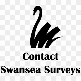 Swansea Surveys - Swan, HD Png Download