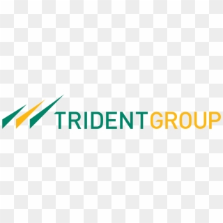 Trident Group - Corporate Company Logo Png, Transparent Png